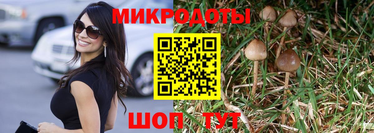Россия  где найти наркотики  Вход с VPN  Галлюциногенные грибы мухоморы 